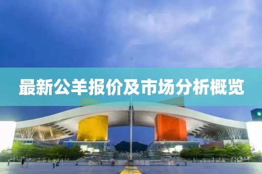 最新公羊報價及市場分析概覽