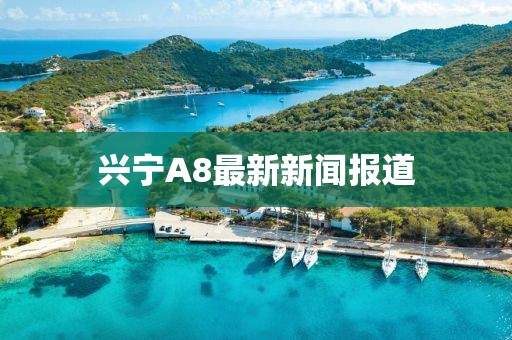 興寧A8最新新聞報(bào)道