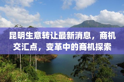 昆明生意轉(zhuǎn)讓最新消息，商機(jī)交匯點(diǎn)，變革中的商機(jī)探索