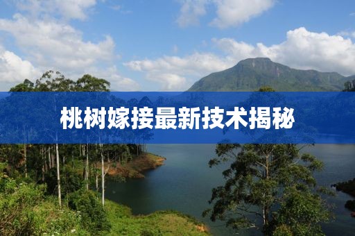 初遇在故事開頭 第27頁