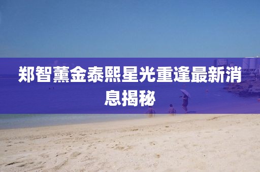 鄭智薰金泰熙星光重逢最新消息揭秘