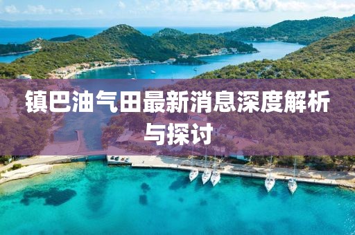鎮(zhèn)巴油氣田最新消息深度解析與探討