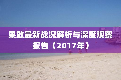 果敢最新戰(zhàn)況解析與深度觀察報(bào)告（2017年）