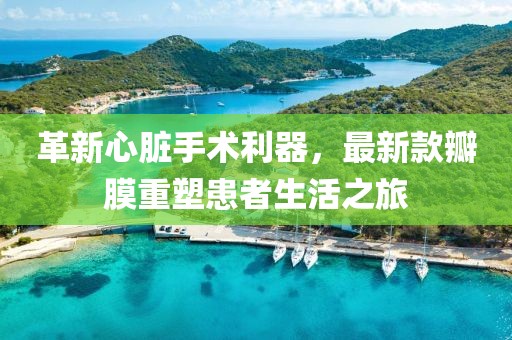 革新心臟手術(shù)利器，最新款瓣膜重塑患者生活之旅