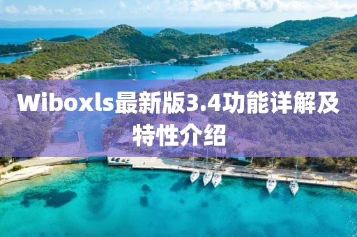 Wiboxls最新版3.4功能詳解及特性介紹