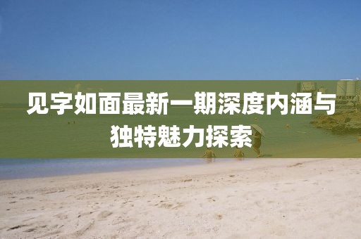 見字如面最新一期深度內(nèi)涵與獨(dú)特魅力探索