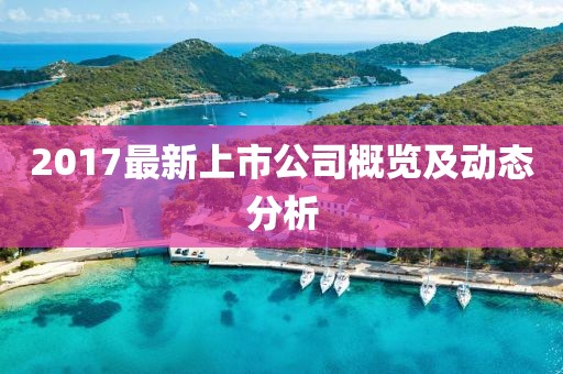 2017最新上市公司概覽及動態(tài)分析