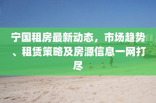 寧國租房最新動態(tài)，市場趨勢、租賃策略及房源信息一網(wǎng)打盡