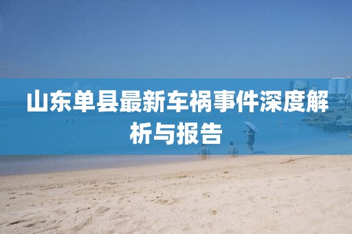 山東單縣最新車禍?zhǔn)录疃冉馕雠c報(bào)告