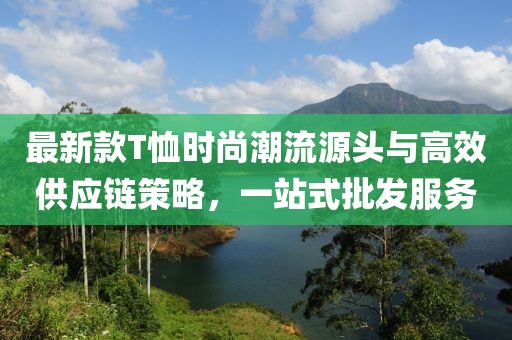最新款T恤時尚潮流源頭與高效供應(yīng)鏈策略，一站式批發(fā)服務(wù)