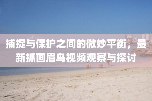 捕捉與保護(hù)之間的微妙平衡，最新抓畫眉鳥視頻觀察與探討