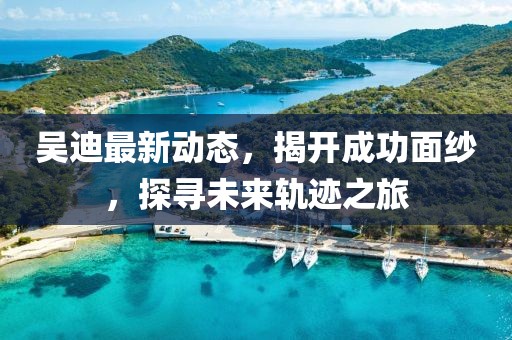 吳迪最新動(dòng)態(tài)，揭開(kāi)成功面紗，探尋未來(lái)軌跡之旅