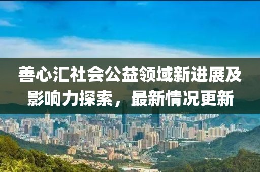 善心匯社會公益領域新進展及影響力探索，最新情況更新