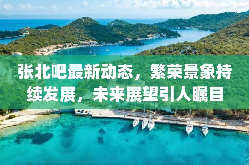 張北吧最新動態(tài)，繁榮景象持續(xù)發(fā)展，未來展望引人矚目