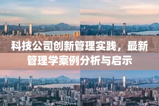 科技公司創(chuàng)新管理實踐，最新管理學(xué)案例分析與啟示
