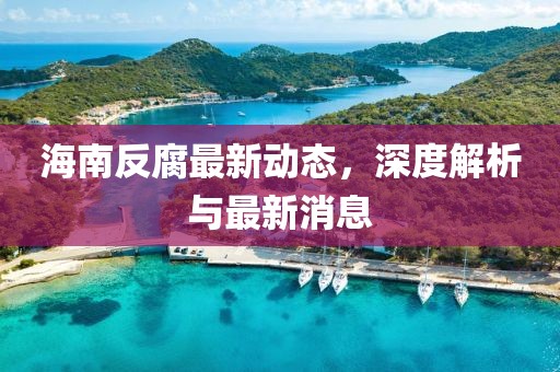 海南反腐最新動態(tài)，深度解析與最新消息