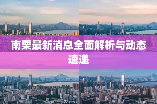 南栗最新消息全面解析與動態(tài)速遞