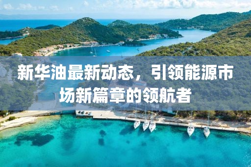 新華油最新動(dòng)態(tài)，引領(lǐng)能源市場(chǎng)新篇章的領(lǐng)航者