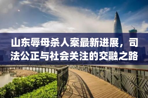 山東辱母殺人案最新進(jìn)展，司法公正與社會(huì)關(guān)注的交融之路