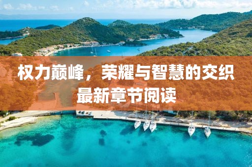 權(quán)力巔峰，榮耀與智慧的交織最新章節(jié)閱讀