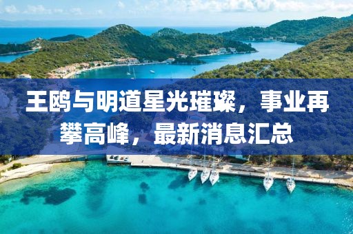 王鷗與明道星光璀璨，事業(yè)再攀高峰，最新消息匯總