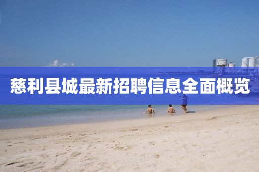 慈利縣城最新招聘信息全面概覽