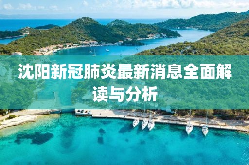 沈陽新冠肺炎最新消息全面解讀與分析