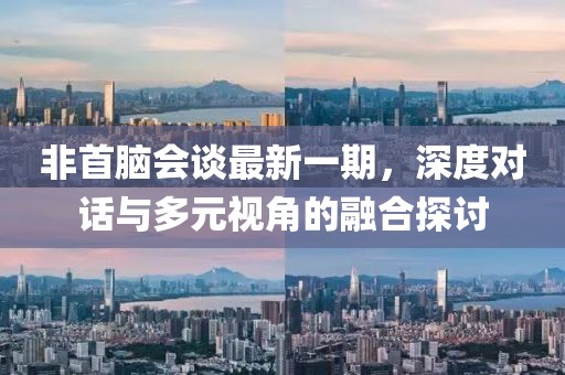 非首腦會(huì)談最新一期，深度對(duì)話與多元視角的融合探討
