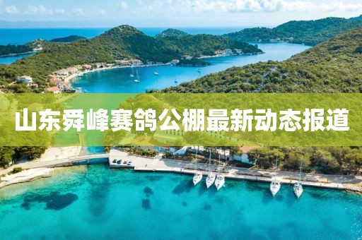 山東舜峰賽鴿公棚最新動態(tài)報道