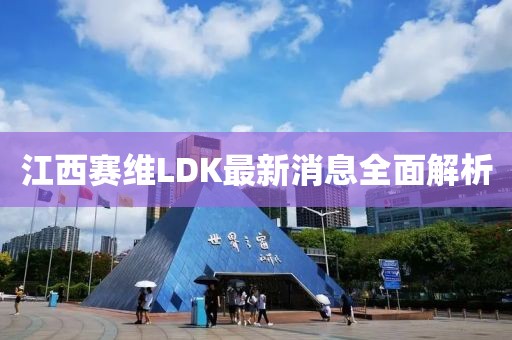 江西賽維LDK最新消息全面解析