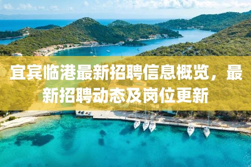 宜賓臨港最新招聘信息概覽，最新招聘動態(tài)及崗位更新