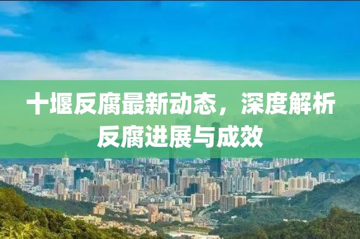 十堰反腐最新動態(tài)，深度解析反腐進展與成效