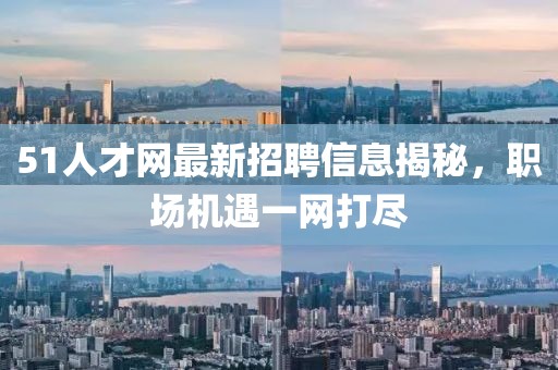 51人才網(wǎng)最新招聘信息揭秘，職場機遇一網(wǎng)打盡