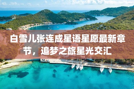 白雪兒張連成星語星愿最新章節(jié)，追夢之旅星光交匯