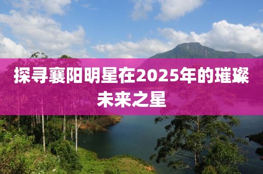 探尋襄陽明星在2025年的璀璨未來之星
