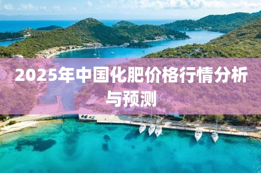 2025年中國化肥價格行情分析與預(yù)測