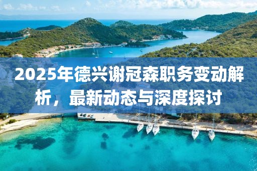 2025年德興謝冠森職務(wù)變動(dòng)解析，最新動(dòng)態(tài)與深度探討