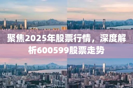 聚焦2025年股票行情，深度解析600599股票走勢