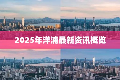 2025年洋浦最新資訊概覽