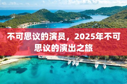 不可思議的演員，2025年不可思議的演出之旅