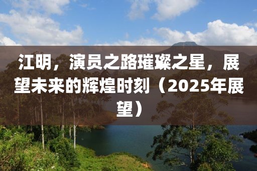 江明，演員之路璀璨之星，展望未來的輝煌時刻（2025年展望）