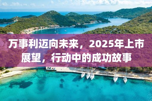 萬(wàn)事利邁向未來(lái)，2025年上市展望，行動(dòng)中的成功故事