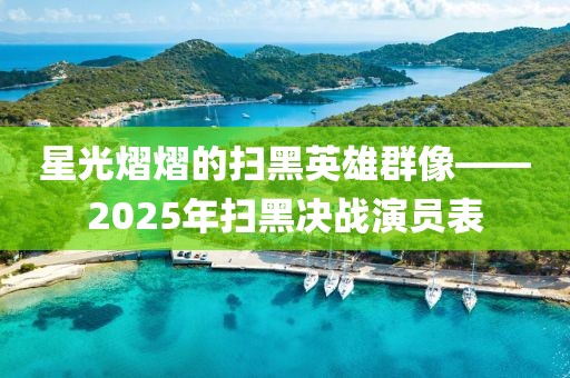 星光熠熠的掃黑英雄群像——2025年掃黑決戰(zhàn)演員表