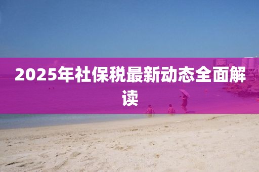2025年社保稅最新動態(tài)全面解讀