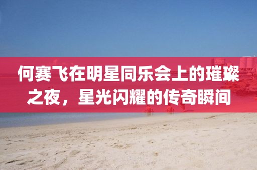 何賽飛在明星同樂(lè)會(huì)上的璀璨之夜，星光閃耀的傳奇瞬間