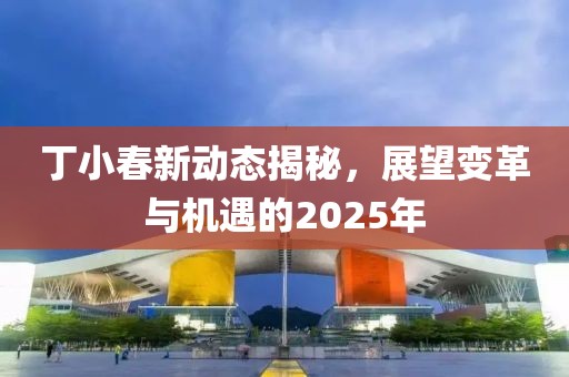 丁小春新動態(tài)揭秘，展望變革與機(jī)遇的2025年