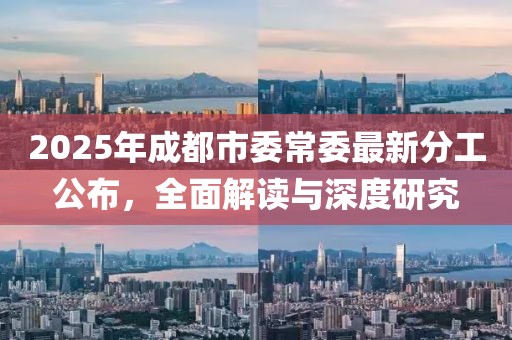 2025年成都市委常委最新分工公布，全面解讀與深度研究