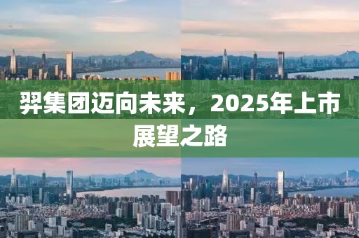 羿集團(tuán)邁向未來(lái)，2025年上市展望之路
