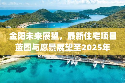 金陽未來展望，最新住宅項目藍(lán)圖與愿景展望至2025年