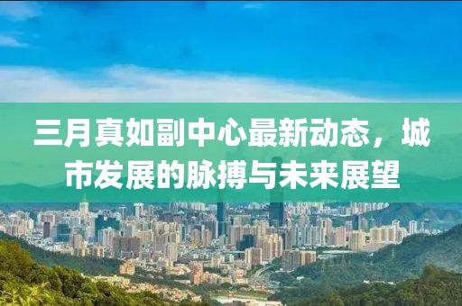 三月真如副中心最新動態(tài)，城市發(fā)展的脈搏與未來展望